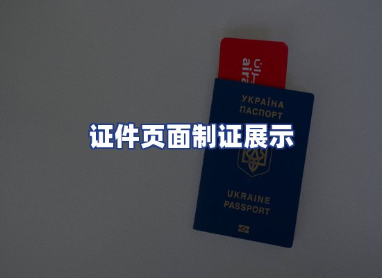 证件页面制证展示